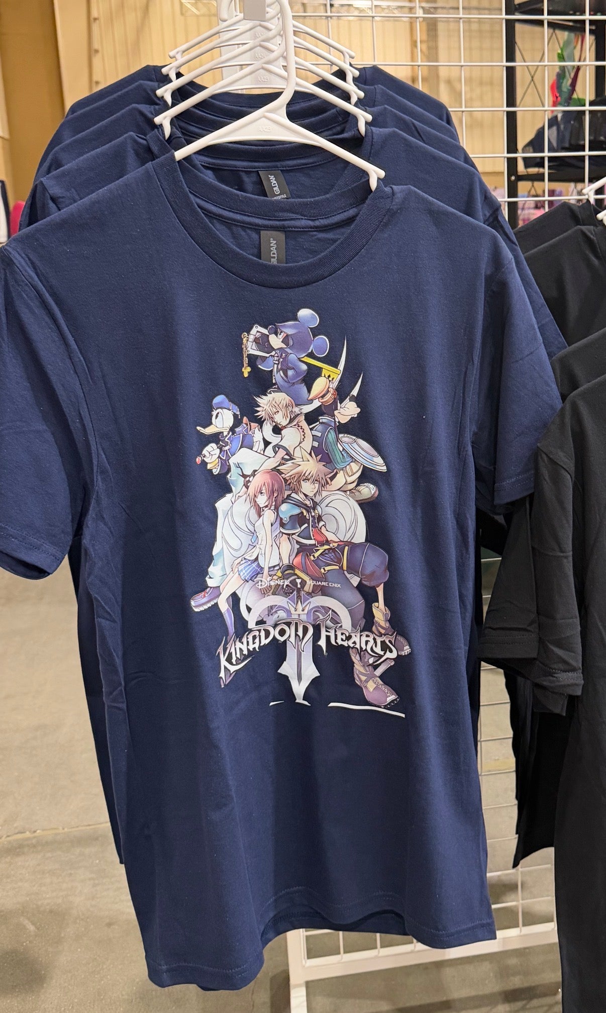 Kingdom hearts