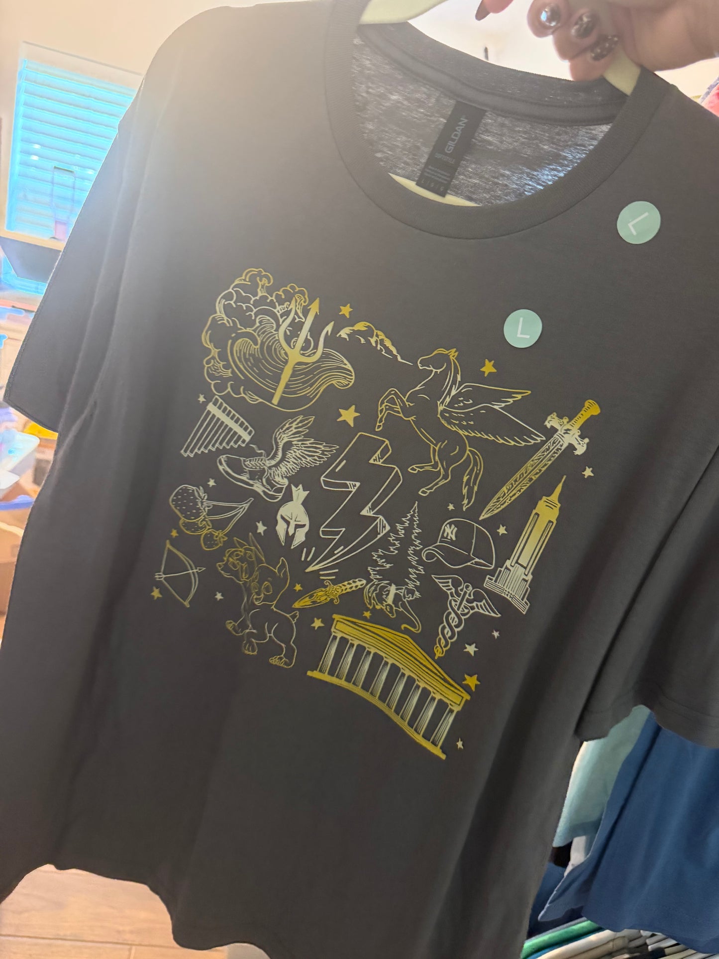 Percy Jackson(gildan large)